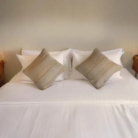 With Terrace 5 Min From The *